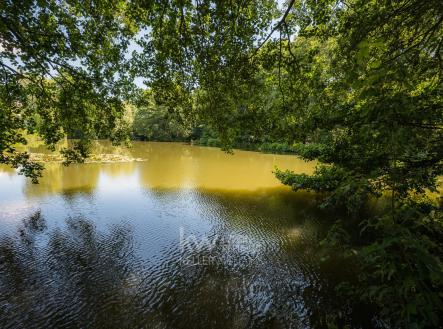 _DSC7507 | Prodej - chata/rekreační objekt, 999 m²