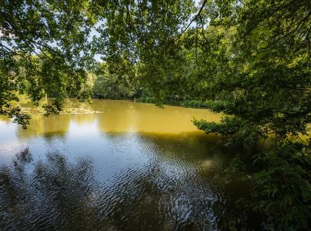 _DSC7507 | Prodej - chata/rekreační objekt, 999 m²