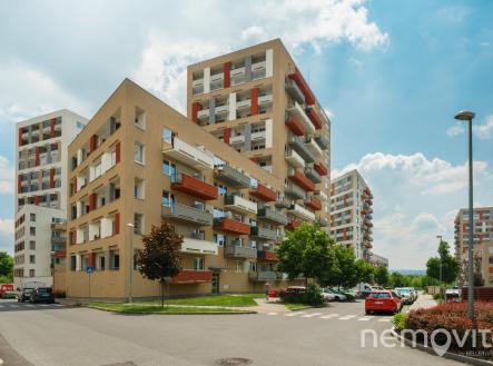 @renemuska #nemovito #pronajem | Pronájem bytu, 2+kk, 60 m²