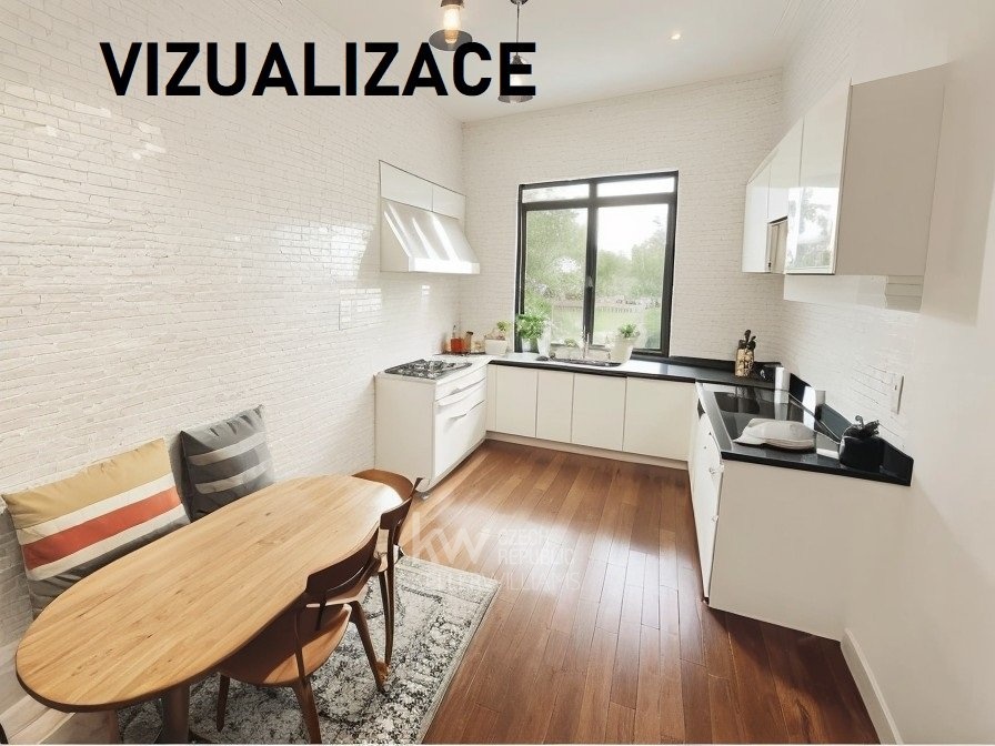 BRIZ_Vizualizace