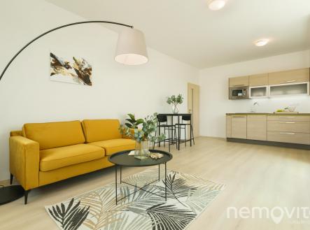 @renemuska #nemovito #pronajem | Pronájem bytu, 2+kk, 60 m²