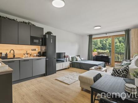 @renemuska #pronajem #spickovy #byt #slany #slanskymlyn | Pronájem bytu, 1+kk, 37 m²