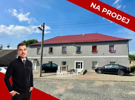 Prodej - nájemní dům, 630 m² obrázek