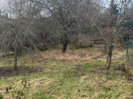 Prodej - pozemek, zahrada, 483 m² obrázek