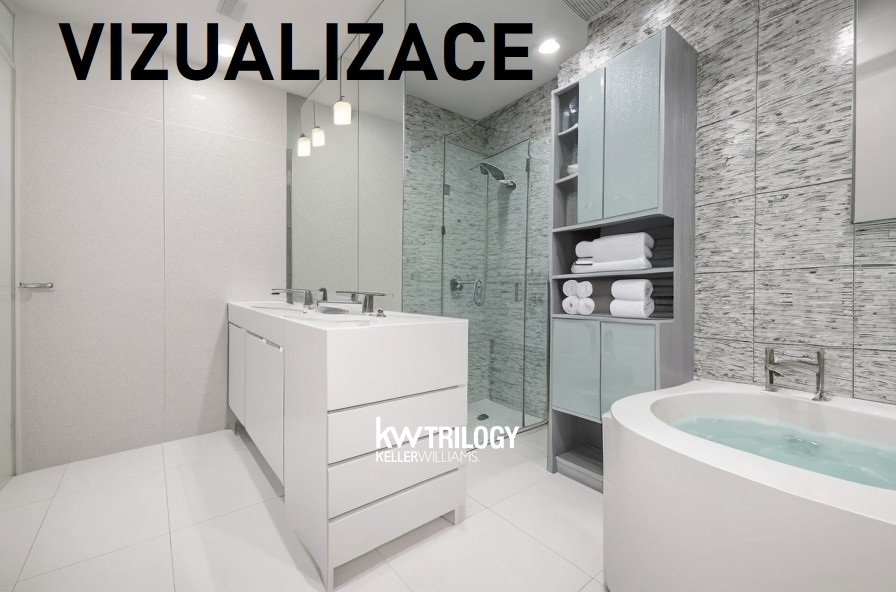 BRIZ_Vizualizace 10