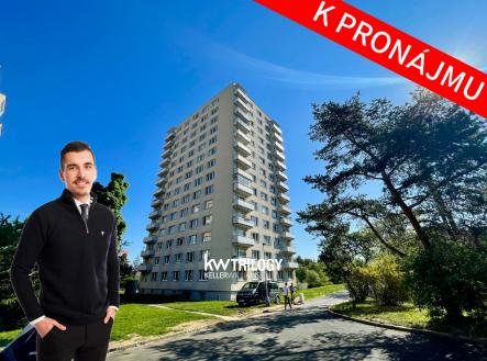 IMG_4548 | Pronájem bytu, 1+kk, 25 m²