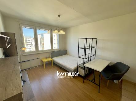 IMG_4492 | Pronájem bytu, 1+kk, 25 m²