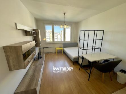 IMG_4494 | Pronájem bytu, 1+kk, 25 m²