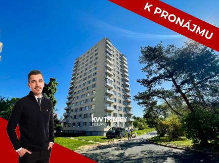 NA PRODEJ - úvodní | Pronájem bytu, 1+kk, 25 m²
