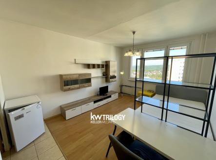 IMG_4495 | Pronájem bytu, 1+kk, 25 m²