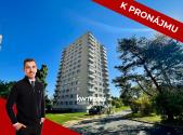 Pronájem bytu, 1+kk, 25 m²
