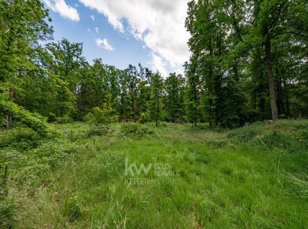 KW_028_3 | Prodej - pozemek pro bydlení, 3 143 m²