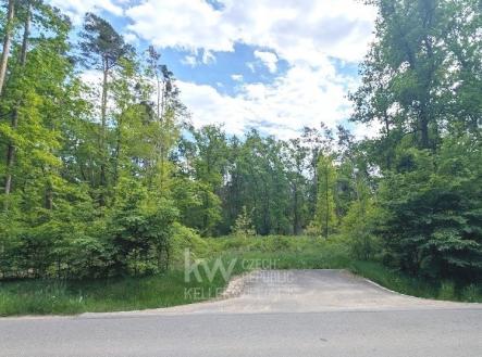 PXL_20250502_121410010 | Prodej - pozemek pro bydlení, 3 143 m²