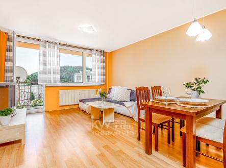 DSC03847-Edit-Edit-7 | Prodej bytu, 3+1, 77 m²