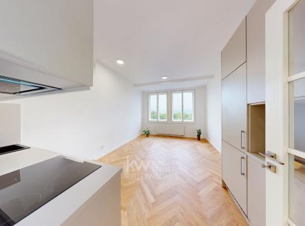 05222025_202250[1] | Pronájem bytu, 2+kk, 55 m²
