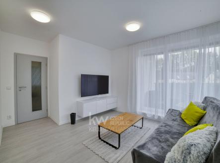 DSC_1101_2 | Prodej bytu, 2+kk, 42 m²