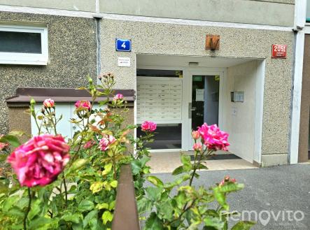 Obrázek WhatsApp, 2025-06-16 v 19.33.54_8b7868ea | Prodej bytu, 1+kk, 29 m²