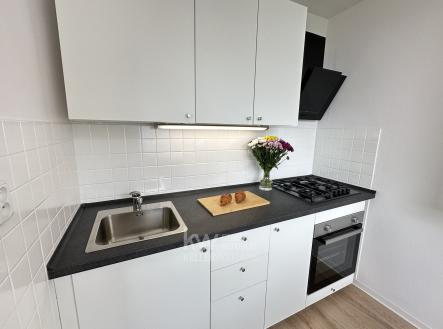 Prodej bytu, 1+1, 41 m² obrázek