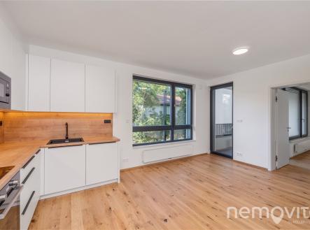 Pronájem bytu, 2+kk, 65 m²