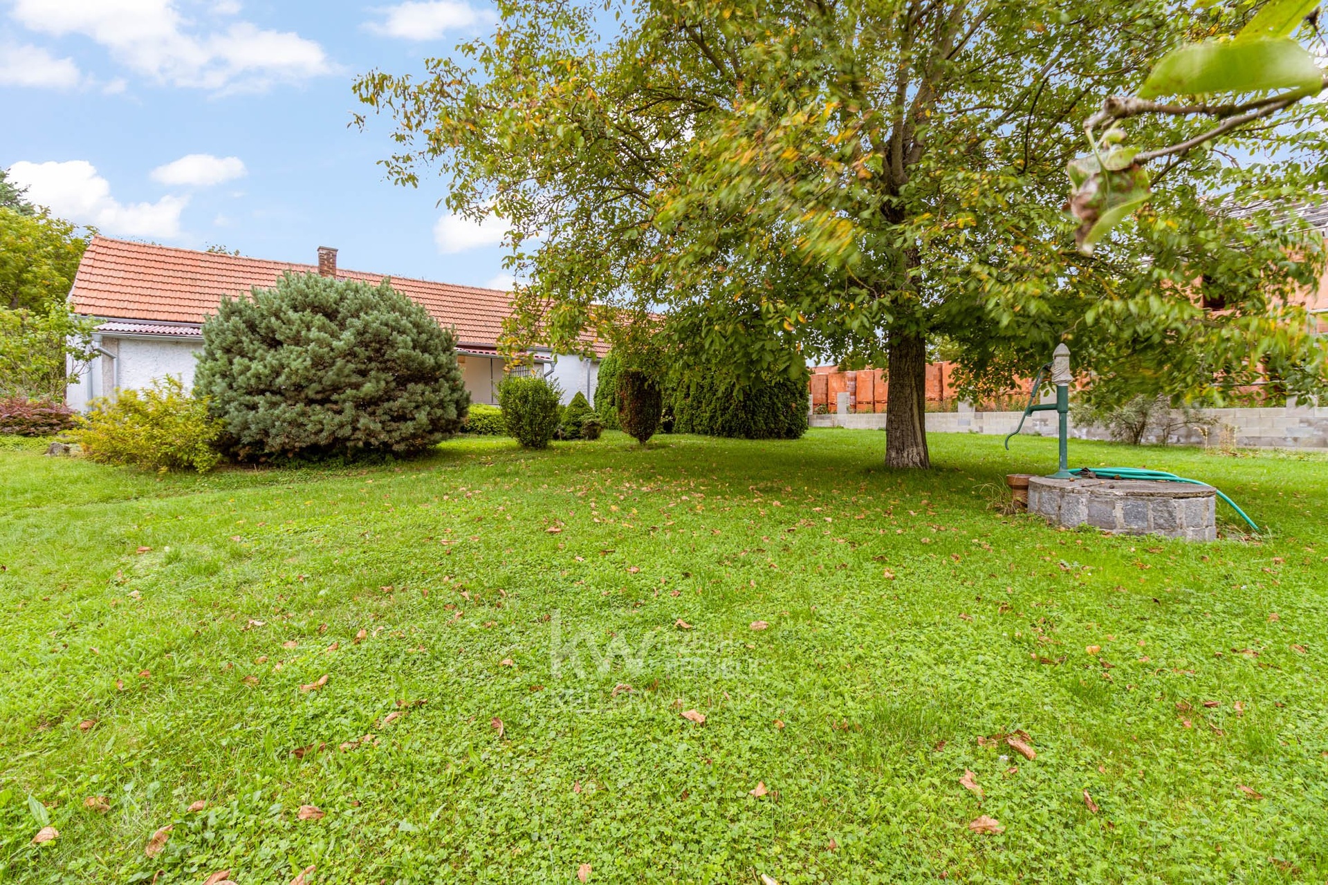 omegavisuals-final-14