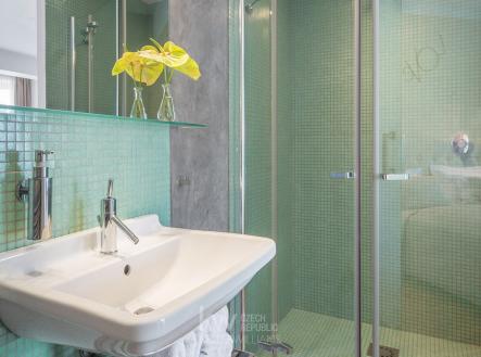 c908c6750f176658078004b63491d754 | Pronájem bytu, 1+kk, 30 m²