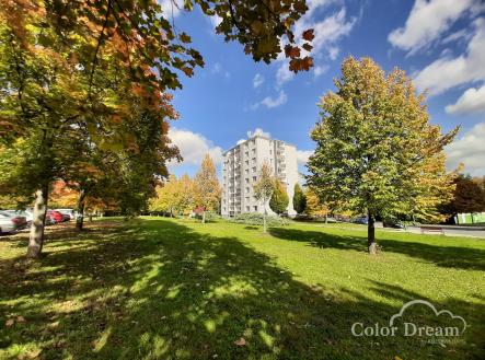 20251013_133727 | Pronájem bytu, 2+1, 56 m²