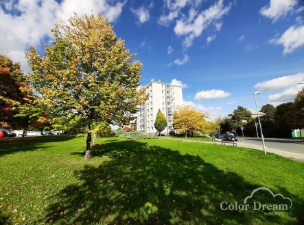 20251013_133708 | Pronájem bytu, 2+1, 56 m²