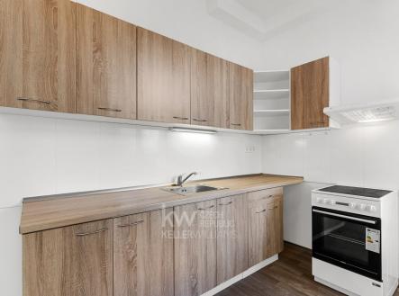 DSC02773 | Pronájem bytu, 1+1, 56 m²