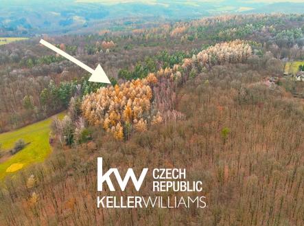 dji_fly_20251216_140058_0235_1765963556420_photo 2 | Prodej - pozemek, les, 12 058 m²