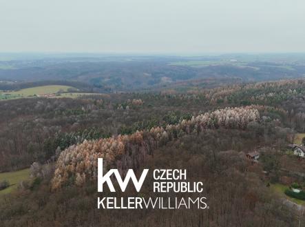 dji_fly_20251216_140108_0238_1765963555612_photo | Prodej - pozemek, les, 12 058 m²