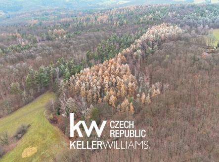 dji_fly_20251216_140226_0240_1765963518403_photo | Prodej - pozemek, les, 12 058 m²