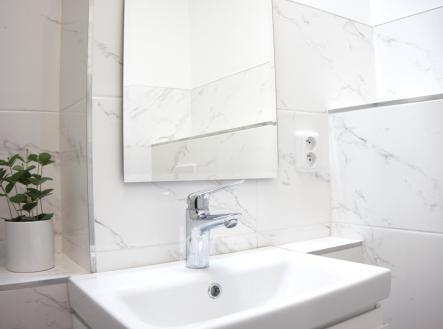 koupelna1 | Pronájem bytu, 1+kk, 27 m²