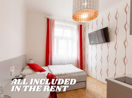 pronajem-bytu-1-kk-18-m2-praha-nusle-all-included-in-the-rent-e26bb1 | Pronájem bytu, 1+kk, 18 m²