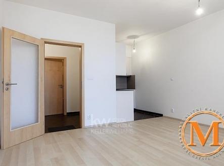 b50067922w2 | Pronájem bytu, 1+kk, 33 m²