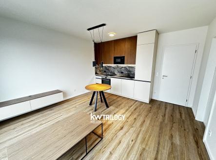 IMG_5519 | Pronájem bytu, 2+kk, 47 m²