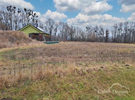 pohled od cesty | Prodej - pozemek pro bydlení, 2 733 m²