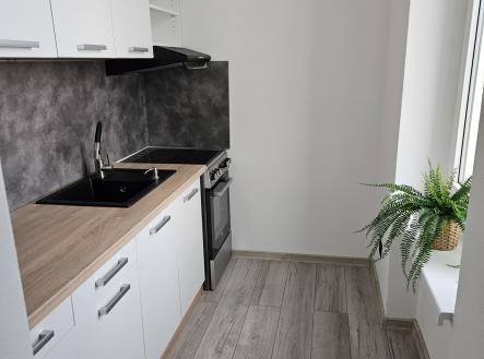 20260301_161807 | Pronájem bytu, 2+1, 46 m²