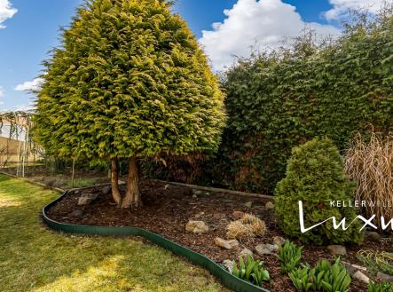 Prodej - dům/vila, 286 m²