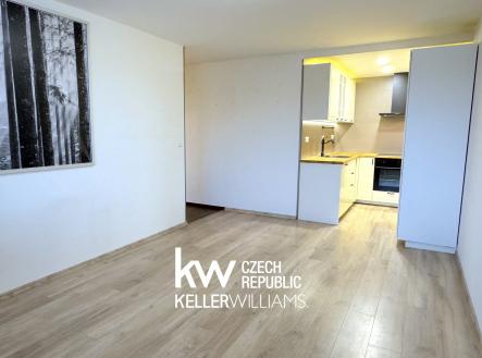 IMG_8758 | Pronájem bytu, 2+kk, 43 m²