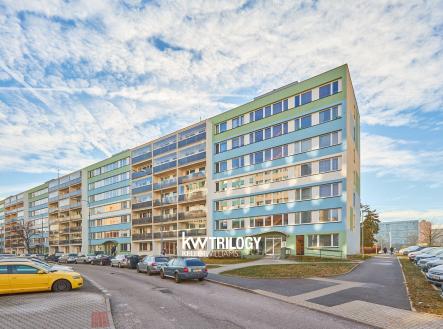 4V1A6199 | Pronájem bytu, 4+kk, 71 m²