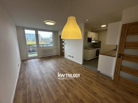 IMG_6283 | Pronájem bytu, 4+kk, 71 m²