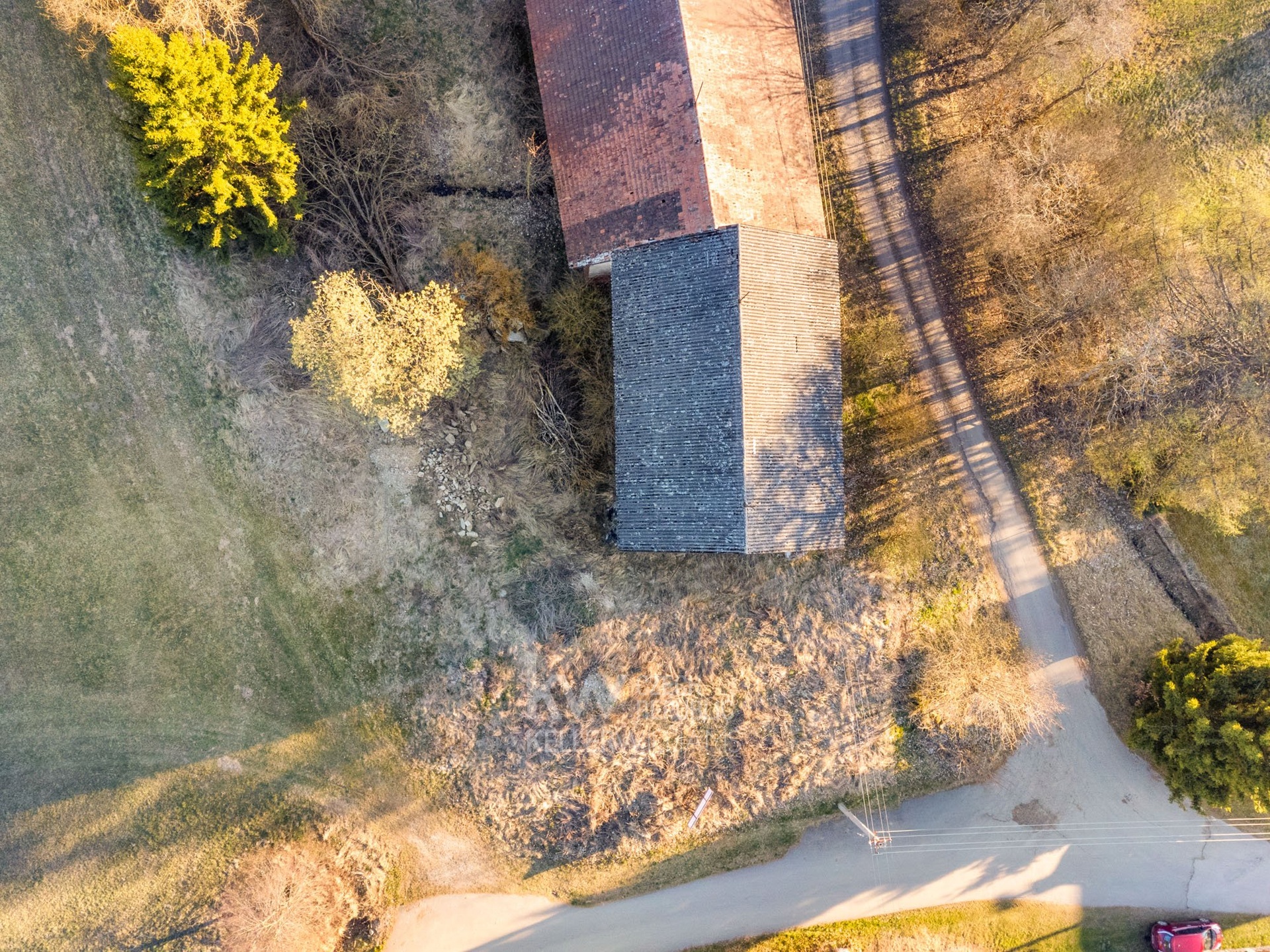 omegavisuals-final-3