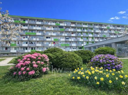 pohled na dům | Pronájem bytu, 1+kk, 35 m²