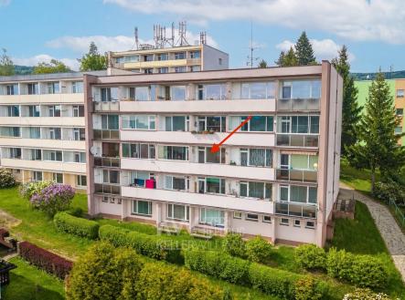 hf_20260514_220713_ba15374a-4d91-453a-a6ae-b7fae5f726ce (kopie) | Prodej bytu, 1+kk, 28 m²