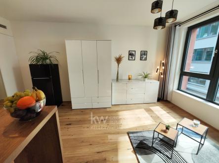 IMG_20230910_1143031 | Pronájem bytu, 1+kk, 29 m²