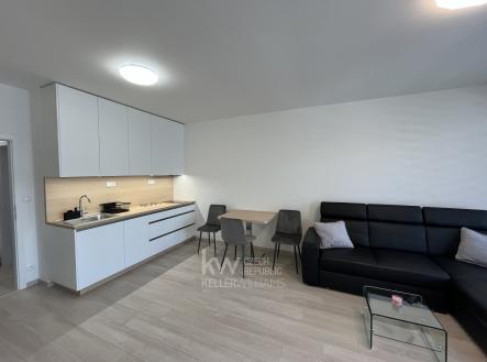 IMG_2691 | Pronájem bytu, 1+kk, 41 m²