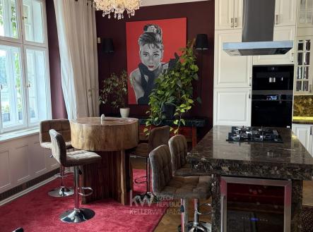 2F1D1A8D-ED93-4E29-B5D6-124AEF8592FE_1_102_o | Pronájem bytu, 4+kk, 190 m²