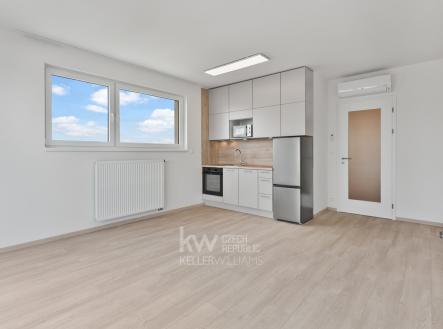 DSC03764 | Pronájem bytu, 1+kk, 54 m²