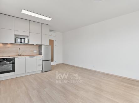 DSC03755 | Pronájem bytu, 1+kk, 54 m²