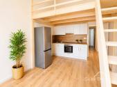 Pronájem bytu, 1+kk, 31 m²